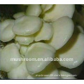 Agaricus bisporus ,white mushroom;bai mu go; GMP,HACCP